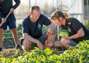 Horticultural Safety Training