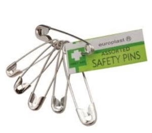 Safety Pins (6)