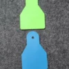 Midi Tags scaled 1