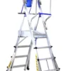 Telefly Pic