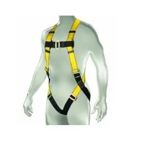 Harness & Lanyard Inspection Course (Competent Person) 2 msa safety harness