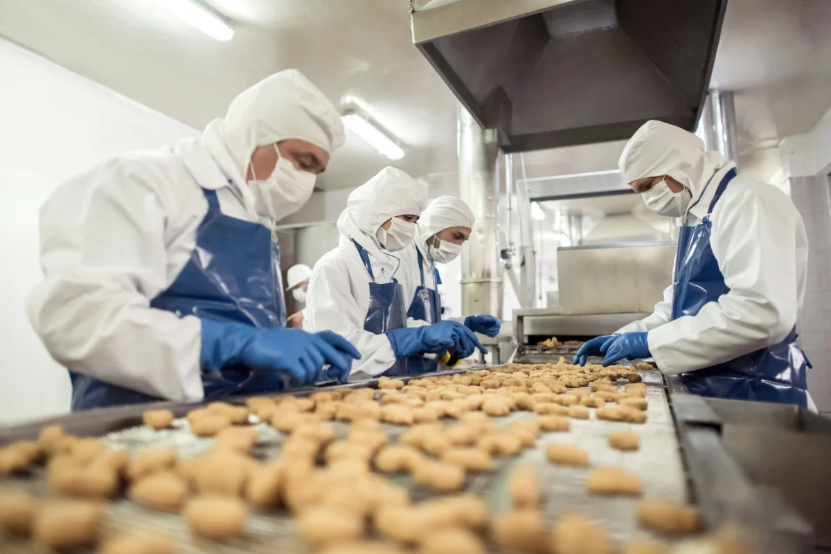 Food and Hygiene
